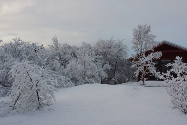 Gesthús Selfoss