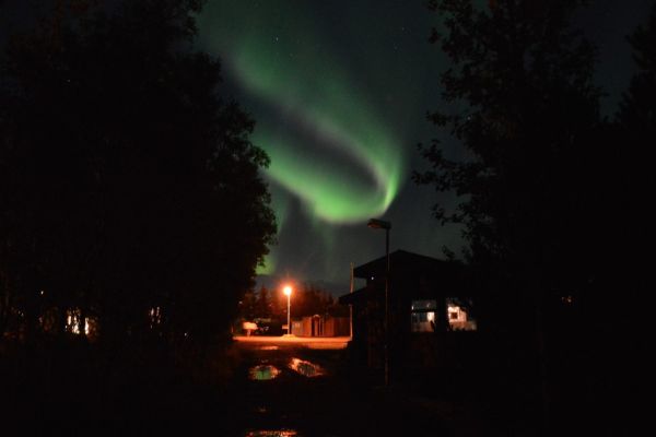 Gesthús Selfoss